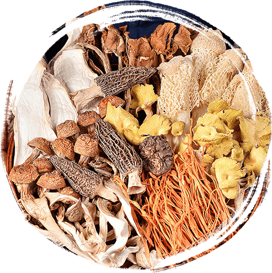 栾川縣得天力生物技術研究所