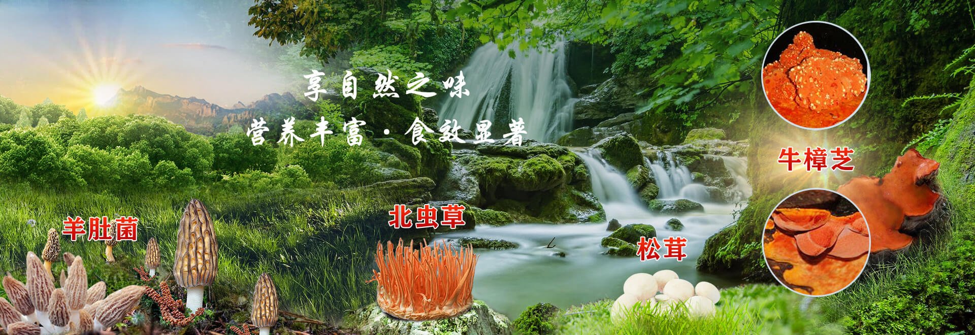 栾川縣得天力生物技術研究所